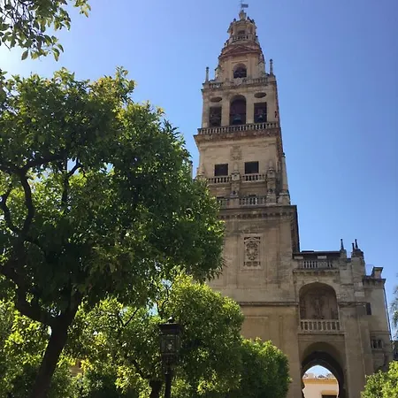 Patio De Lineros * Córdoba